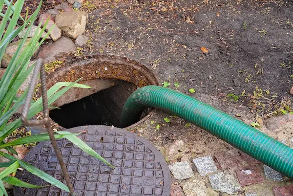 Sewer and Drain Service